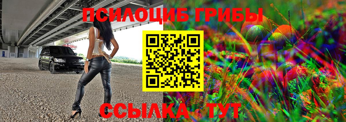 Псилоцибиновые грибы мицелий Лениногорск